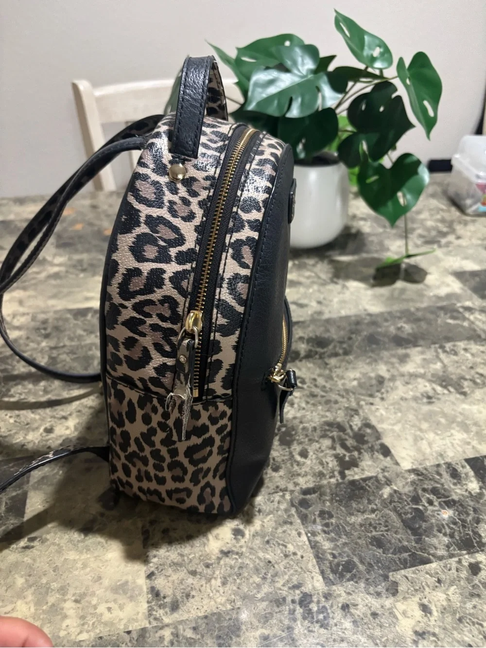 kate spade Leopard Accent Black Mini Backpack